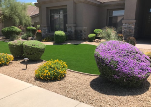 xeriscape